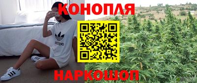 МДМА Ачхой-Мартан