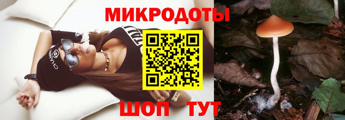 Владимир  Галлюциногенные грибы Magic Shrooms  Вход с VPN 