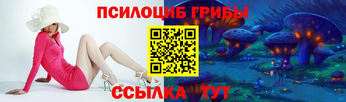 Псилоцибиновые грибы мицелий Владимир